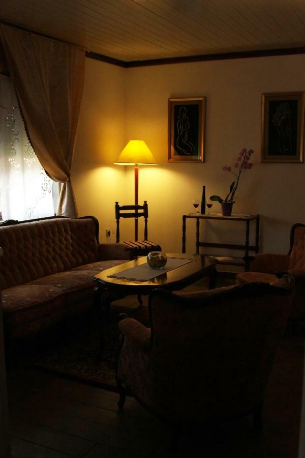 Apartman Sokica Бизовац Экстерьер фото